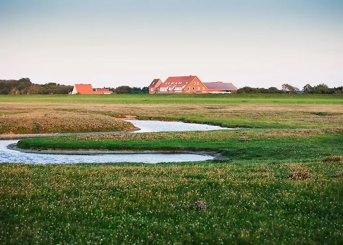 Haustierfreundliches Hotel: Hotel Hus Achtern Diek
